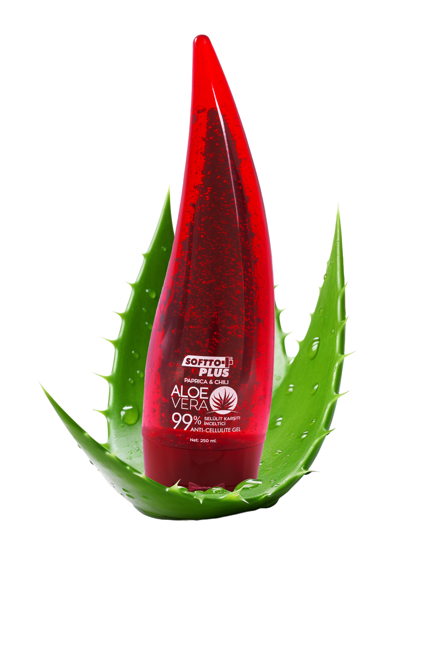 Thermoactive Anti-Cellulite Gel with Aloe Vera